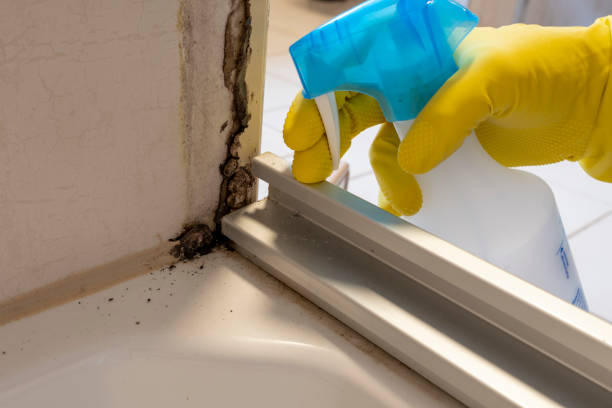 Best Crawl Space Mold Removal  in Evansville, WI