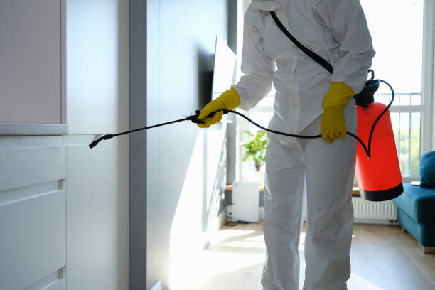 Best Commercial Mold Removal  in Evansville, WI