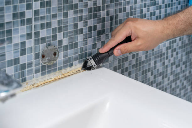 Best Mold Damage Repair  in Evansville, WI