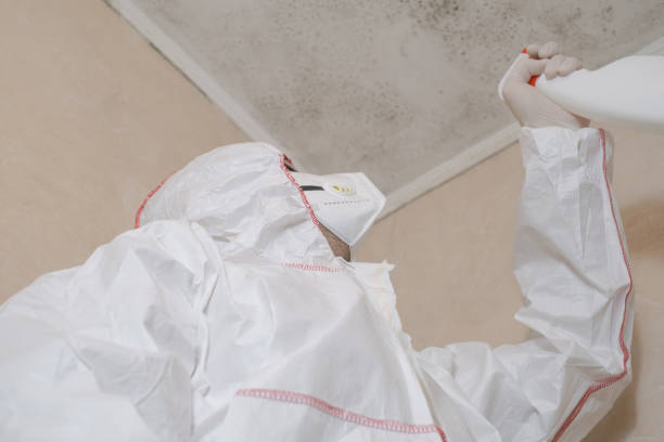 Best Mold Removal Company Near Me  in Evansville, WI